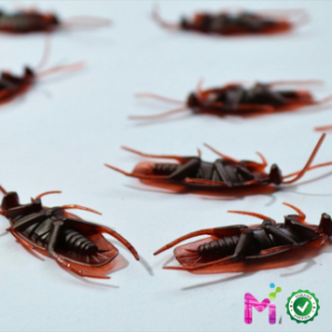Cockroach Killers